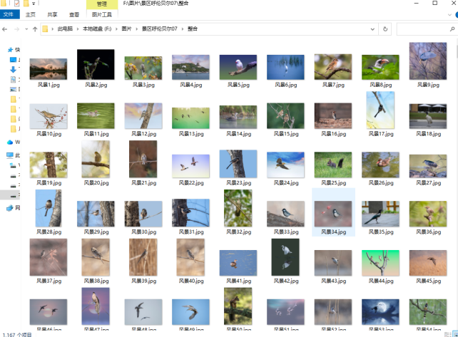 【云炫文件管理器】10000个jpg图片文件如何按数量放在20个文件夹中的操作方法